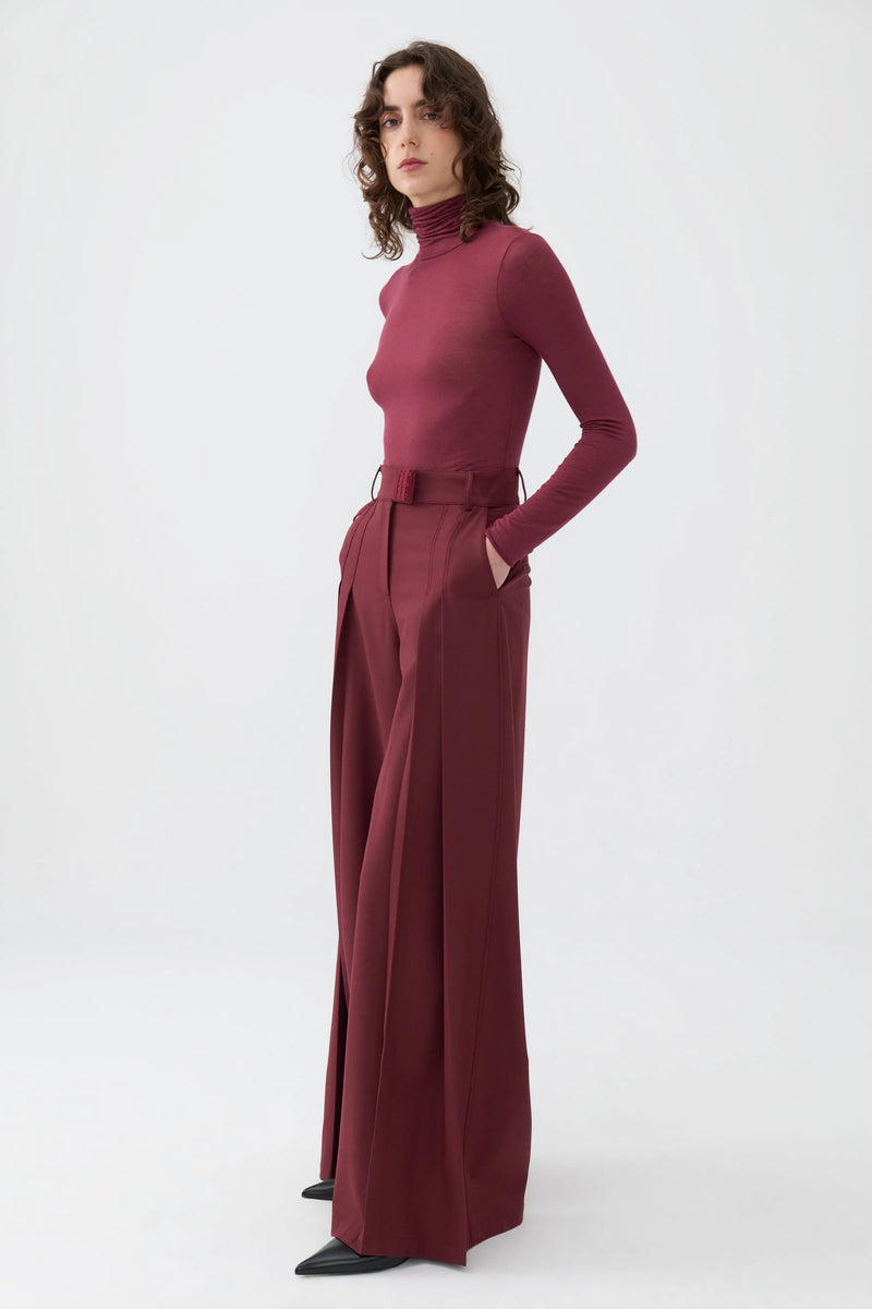 Burgundy Pleated High-Waisted Pants